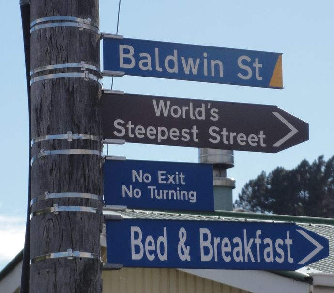 Самая крутая улица в мире: Baldwin Street