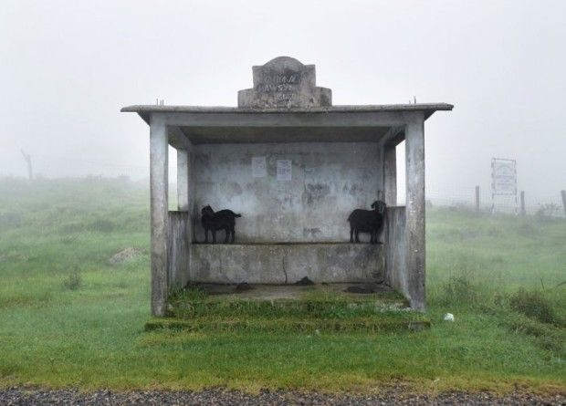 Самое дождливое место на Земле: деревня Мавсилам