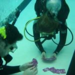 Самая продолжительная игра в карты под водой