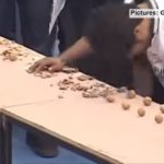 Пакистанец разбил головой рекордное количество грецких орехов
