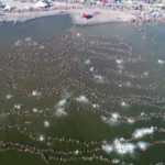 Самое большое количество одновременно плавающих людей