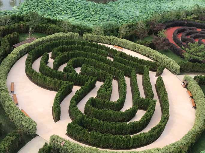 Лабиринт в форме сердца - один из лабиринтов Yancheng Dafeng Dream Maze