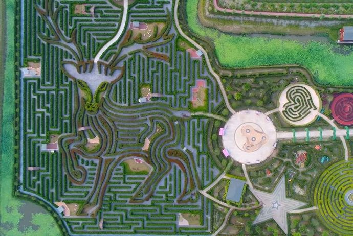 Общий вид самого большого лабиринта Yancheng Dafeng Dream Maze