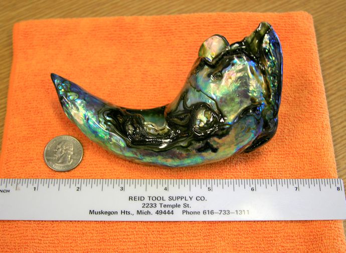 Жемчужина Abalone pearl самая большая жемчужина абалона