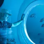 Немец прожил 120 дней под водой в SeaPod у северного побережья Панамы: новый рекорд